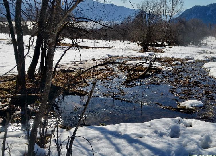 Фотограф запечатлел наступление весны в алтайском заповеднике