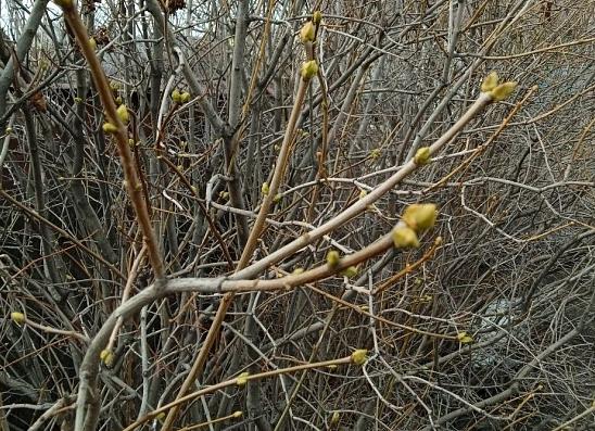 Синоптики обещают теплую и безветренную субботу